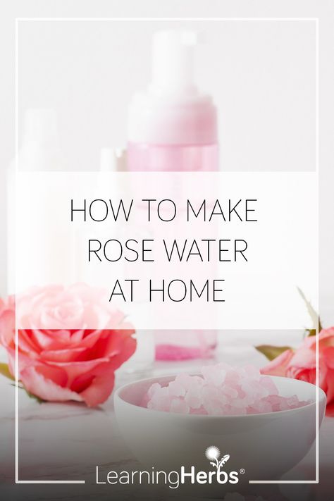 How to Make Rose Water How To Make Rose Water For Face, Rose Water Diy Hair, How To Make Rose Water Diy, How To Make Rose Water, Herbalism Apothecary, Make Rose Water At Home, Make Rose Water, Making Rose Water, Homemade Rose Water