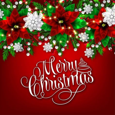 Merry Christmas :::::::::::::::::::::::::: https://www.freepik.com/premium-vector/red-background-with-christmas-card-that-says-i-wish-you-merry-christmas_393844032.htm Wishing You A Merry Christmas, Marry Christmas Wishes, Merry Christmas Backgrounds, Christmas Wishes Card, Merry Christmas Images Free, Merry Christmas Printable, Merry Christmas Vector, Wish You Merry Christmas, Merry Christmas Message