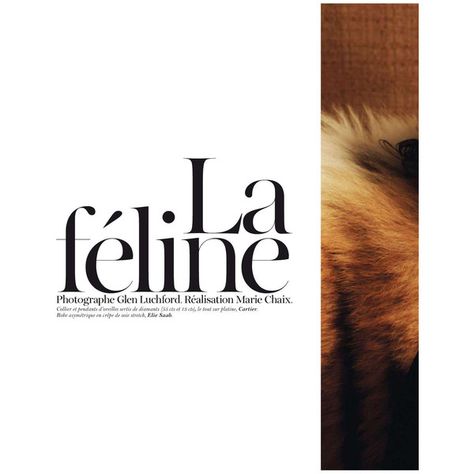 la feline ❤ liked on Polyvore featuring phrase, quotes, saying and text Glen Luchford, Phrase Quotes, Cartier, Feline, Acne, Off White, Men And Women, Gucci, Independent Design