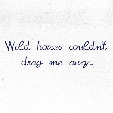 Wild horses, Rolling Stones Wild Horses Tattoo, Rolling Stones Aesthetic, Wild Horses Quotes, Rolling Stones Quotes, Rolling Stones Lyrics, Rolling Stones Tattoo, Wild Quotes, Lyric Tattoos, Word Fonts