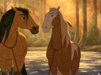 Spirit (gif) Spirit Horse Movie, Disney Horses, Spirit And Rain, Spirit The Horse, Horse Animation, Horse Movies, Rain Photo, Film Disney, Childhood Movies