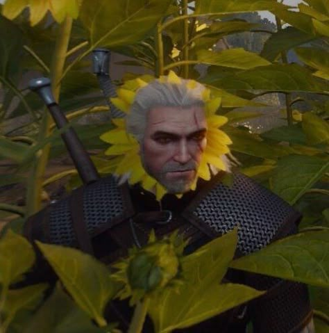 The Witcher, White