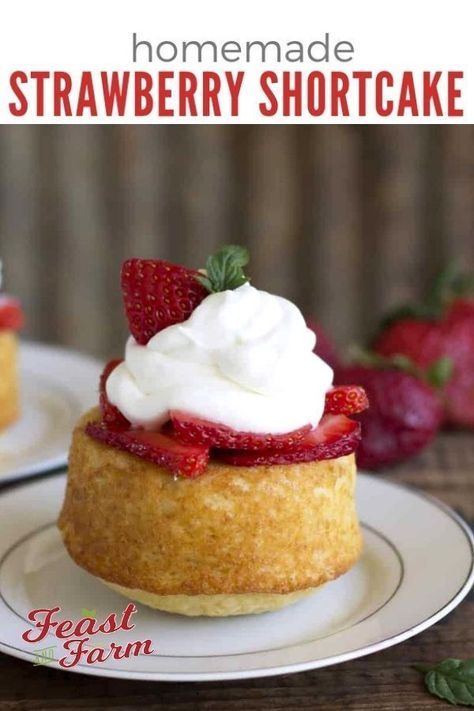 Strawberry Shortcake Mini, Homemade Strawberry Shortcake, Shortcake Cake, Strawberry Shortcakes, Strawberry Shortcake Cake, Cake Mini, Strawberry Shortcake Recipes, Shortcake Recipe, Salty Cake