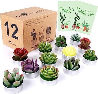 AIXIANG 12Pcs Cactus Candles Succulent Candles, Wedding Party Favors for Guests, Bridal Shower Candles Favors Bridal Shower Candles, Succulent Candles, Candles Favors, Wedding Time Capsule, Shower Candles, Wedding Party Favors For Guests, Candle Bridal Shower Favors, Practical Wedding Favors, Cactus Candles