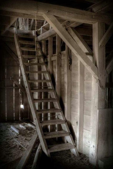 Ladder to hayloft Stable Interior, Historic Farmhouse, Yankee Barn Homes, Vermont House, Hay Loft, Metal Barn Homes, Barn Loft, Farmhouse Vibes, Farm Scenes