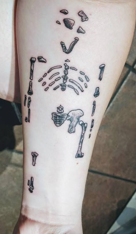 Anthropology ink. Archeology Tattoo Ideas, Anthropology Tattoo Ideas, Archaeology Tattoo Ideas, Anthropology Tattoo, Archeology Tattoo, Archaeology Tattoo, History Tattoo Ideas, Geology Tattoo, Fossil Tattoo