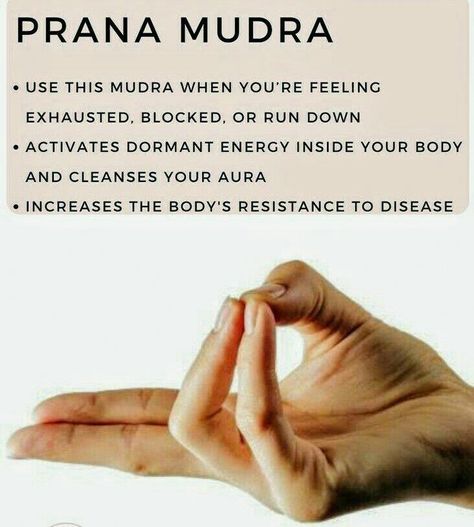 Lotus Position Yoga, Hand Mantras, Prana Mudra, Healing Reflexology, Yoga Mudra, Yoga Mudras, Hand Mudras, Yoga Facts, Yoga Hands