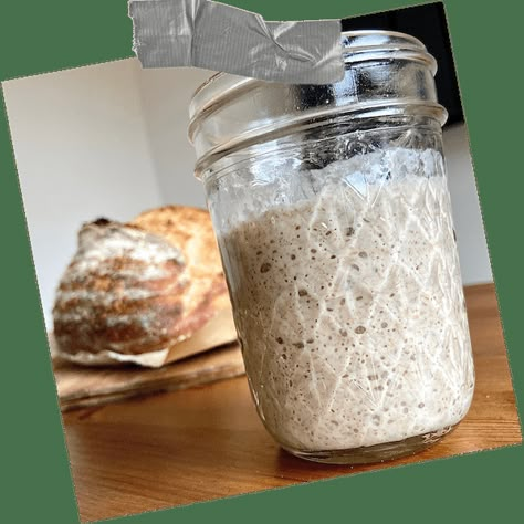 Sourdough Starter From Scratch in 7 Days - Natasha's Baking Rye Sourdough Starter, Breads Bakery, Sourdough Starter From Scratch, Natashas Kitchen, Tartine Bread, Making Sourdough Bread, Dough Starter, Bread Starter, Sourdough Starter Recipe