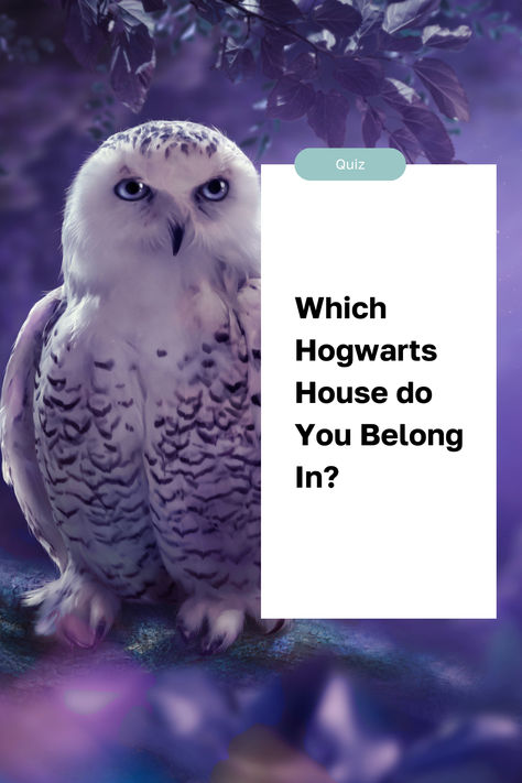 Discover your Hogwarts house with this enchanting quiz! Unveil where you truly belong in the wizarding world. Which Hogwarts House Are You Quiz, What Is My Hogwarts House Quiz, What Is Your Hogwarts House, Which Hogwarts House Quiz, Hogwarts Quizzes, Hogwarts Houses Quiz, Hogwarts Quiz, World Quiz, House Quiz