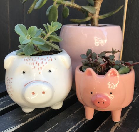 Cute Pig Decor, Pottery Plant Pots, Pig House, Pig Decor, Henna Tattoo Designs Simple, Pottery Classes, Ceramics Projects, Cute Pigs, Pet Bottle