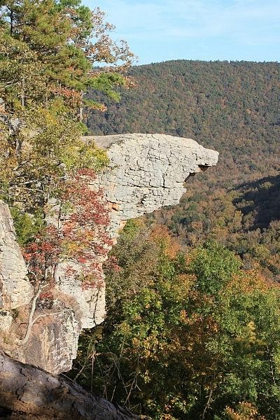 Hawksbill Crag (Whitaker Point) Trail (Ozark Forest) – 3 mi (o&b) photo Arkansas Road Trip, Ozark National Forest, Arkansas Travel, Ozark Mountains, Northwest Arkansas, Eureka Springs, Forest Trail, Forest View, National Forest