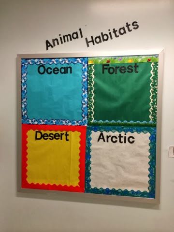 Habitats Bulletin Board, Habitat Activities, Animal Habitat, 1st Grade Science, Drawing Animals, Animal Science, Student Drawing, Kindergarten Science, Animal Activities