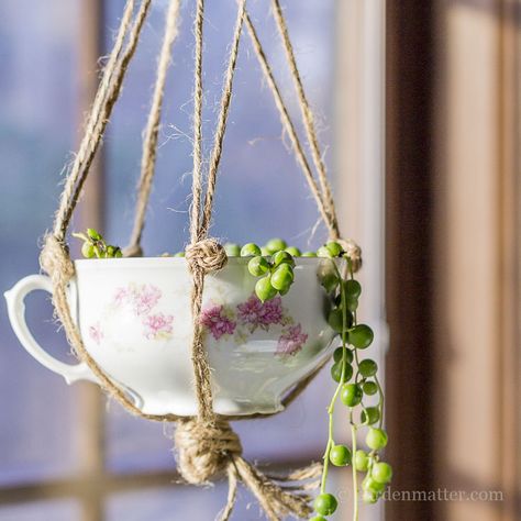 Learn how to create a hanging teacup planter by upcycling a china cup and planting it with a proper plant, using twine to create a hanger. Teacup Planter, Tea Cup Planter, Planter Shelf, Diy Planters Indoor, Upcycled Planter, Hanging Plants Diy, Herb Garden Planter, Teacup Gardens, Teacup Crafts