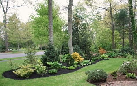 Landscape Mounds Design, Tree Line Landscaping, Island Landscaping Ideas Front Yards, Front Yard Island Landscaping, Modern Farmhouse Yard, Large Front Yard Landscaping, Front Side Yard Landscaping, Front Yard Berm, Property Line Landscaping