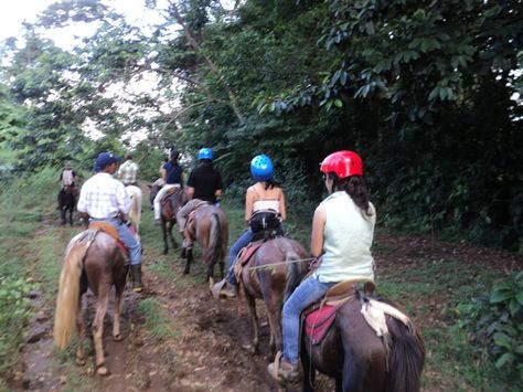 Turismo Rural Comunitario Costa Rica, Riding Helmets, Villa, Collage, Hats, Pins