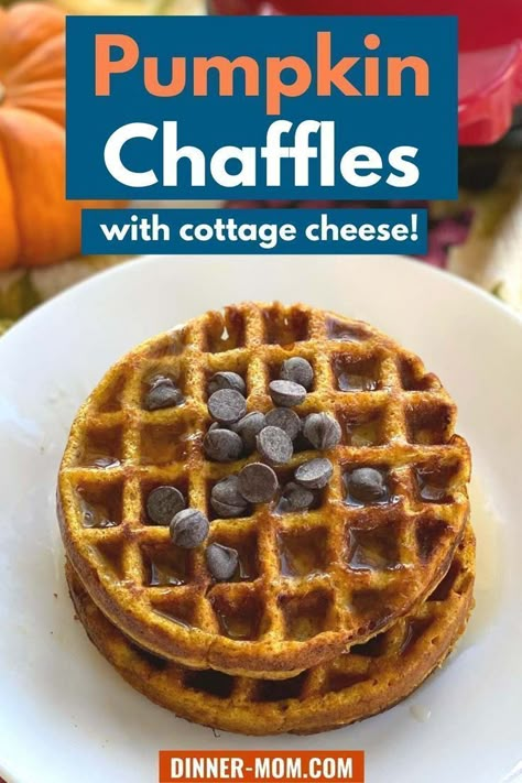 Pumpkin chaffles made with cottage cheese are the best keto-friendly breakfast and brunch. These healthy chaffles are so easy to throw together and make a delicious fall breakfast full of your favorite pumpkin flavors. This fall breakfast is high in protein and tastes delicious. If you're looking for a healthy breakfast, then you must try these simple pumpkin chaffles today! Pumpkin Chaffles Recipe, Chaffle With Almond Flour, Pumpkin Chaffle Recipe Keto, Cottage Cheese Pumpkin Waffles, Pumpkin Cottage Cheese Waffles, Protein Pumpkin Waffles, Cottage Cheese Chaffle Keto, Pumpkin Cottage Cheese Recipes, Cottage Cheese Waffles Low Carb