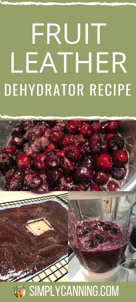 Dehydrating Plums In Dehydrator, Plum Fruit Leather Recipe Dehydrator, Blackberry Fruit Leather Recipe Dehydrator, Fruit Leather From Frozen Fruit, Cherry Fruit Leather Recipe, Fruit Roll Up Recipe Dehydrator, Dehydrator Fruit Leather Recipe, Plum Fruit Leather Recipe, Dehydrated Berries