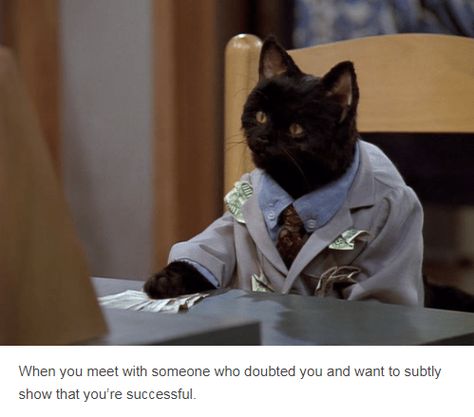 salem cat wearing suit putting money on table When you meet with someone who doubted you and want to subtly show that you're successful. Salem Saberhagen, Salem Cat, Halloween Episodes, Sabrina Spellman, Your Spirit Animal, A Black Cat, Cat Quotes, Pretty Cats, Suit And Tie