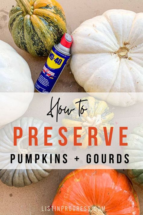 Tips to keep your pumpkins and gourds lasting through the season! Bleach, peppermint soap, and other tricks to keep your gourds fresh and away from pesky critters. Plus, if you want to avoid bleach, here are mess-free tips to save your squash! #pumpkin #gourd #preservepumpkin #falldecor #porchdecor How To Preserve Pumpkins, Preserve Pumpkins, How To Dry Gourds, Preserving Pumpkins, Creative Pumpkin Carving Ideas, Fall Gourds, Teal Pumpkin Project, Pumpkins And Gourds, Peppermint Soap