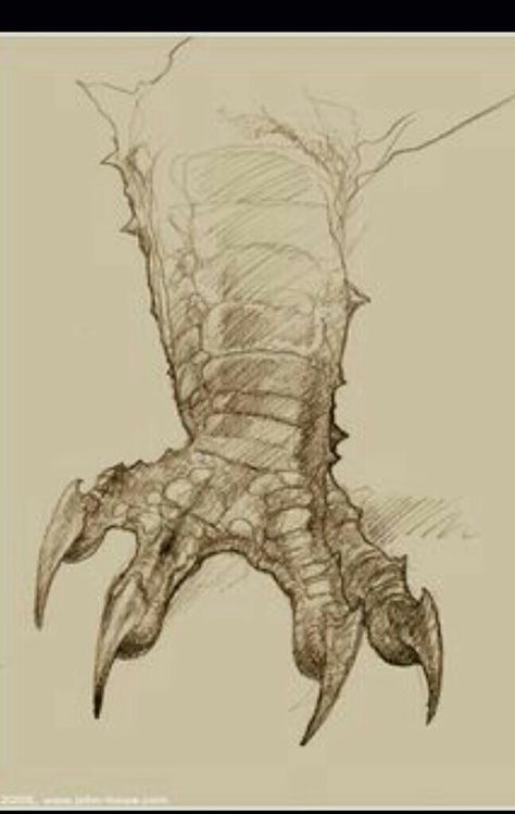 Dragon hand Dragon Feet Drawing, Monster Claws Drawing Reference, Dragon Claw Drawing, Dragon Legs Reference, Dragon Hands Reference, Dragon Claws Drawing Reference, Dragon Feet Reference, Dragon Hand Drawing, Dragon Claws Drawing