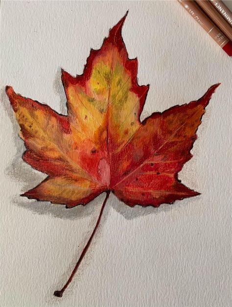 Autumn Drawing Ideas, Fall Leaves Drawing, Autumn Drawing, Watercolor Autumn Leaves, Fall Drawings, Fall Canvas Painting, Autumn Leaves Art, Learn Watercolor Painting, Fall Canvas