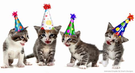 Kitten Singing Happy Birthday | Happy Birthday Kitten Happy Birthday Kitten, Happy Birthday Cards Images, Cat Themed Parties, Happy Birthday Cat, Wish You Happy Birthday, Funny Happy Birthday Wishes, Kitten Birthday, National Cat Day, Happy Birthday Wallpaper