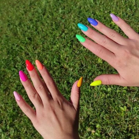 A photo of two hands with nails painted in multiple bright colors. Pastel Nails Rainbow, Matte Rainbow Nails, Bright Rainbow Nails, Subtle Rainbow Nails, Rainbow Pastel Nails, Summer Rainbow Nails, Gay Pride Nails, Pride Month Nails, Teacher Nails