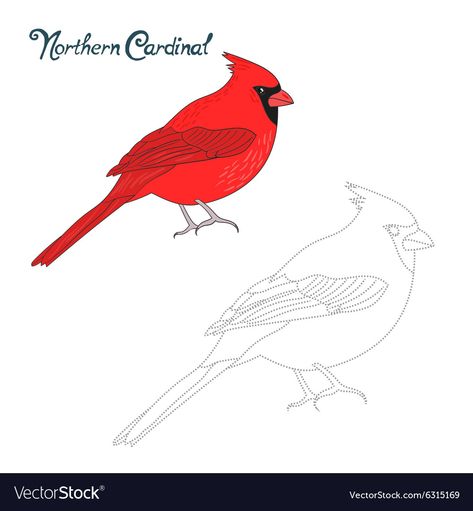 Easy Cardinal Drawing, How To Draw A Cardinal, Cardinal Drawing Simple, Cardinal Nails, Relaxing Doodles, Cardinal Drawing, Cardinal Pictures, Cardinal Painting, Bird Cartoon