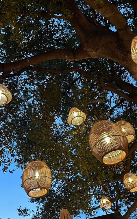 Tree Hanging Lights, Tree Lantern, Lantern Tree, Chandeliers In Trees, Tree Lanterns Wedding, Outdoor Tree Lanterns, Lights In Trees Backyard, Wedding Tree Lanterns, Lights Hanging From Trees