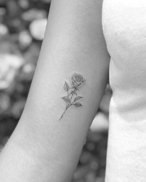 Single needle rose tattoo on the inner arm. #tattooideas #tattoos Tattoos Inner Arm, Inside Of Arm Tattoo, Inner Arm Tattoos, Inner Bicep Tattoo, Simple Arm Tattoos, The Trend Spotter, Rose Tattoos For Women, Inner Arm Tattoo, Small Rose Tattoo