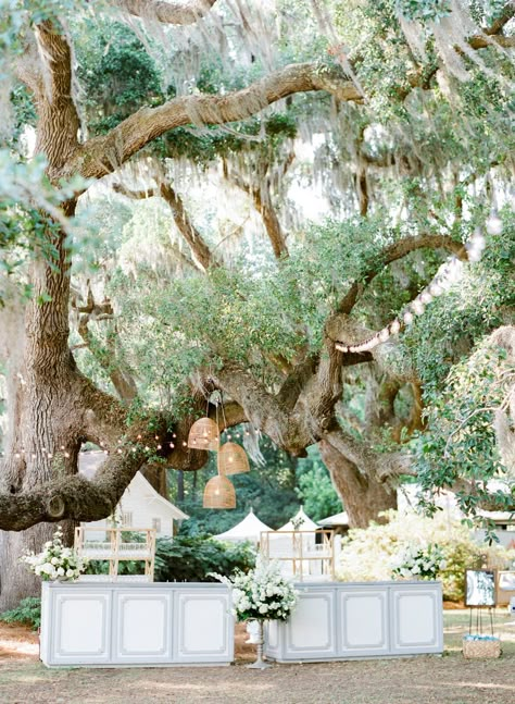 Southern Fairytale Wedding, Southern Outdoor Wedding, Dewberry Charleston, Southern Classy Wedding, Southern Summer Wedding, Southern Wedding Decor, Small Southern Wedding, Charleston Weddings, Southern Charm Party