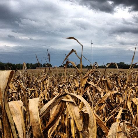 Drought Aesthetic, Irene Hanson, 536 Ad, Remove Skin Tags Naturally, Water Flood, Weather Radar, Fire Image, Weather Channel, The Weather Channel