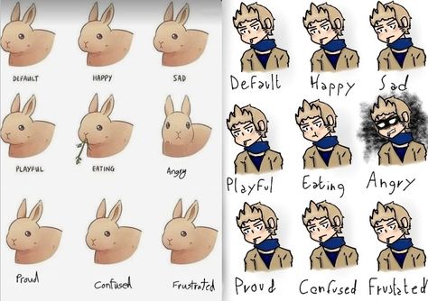 !(The drawing on the left isn't mine)! Hetalia Nordics Fanart, Netherlands Hetalia, Hetalia Nordics, World Star, Hetalia, Rabbits, Helicopter, Netherlands, Fan Art