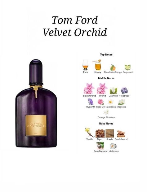 Tom Ford Velvet Orchid. Woman perfume, best scents, floral fragrance #affiliate Tom Ford Velvet Orchid, Tom Ford Orchid, Best Scents, Tom Ford Perfume, Perfume Recipes, Fragrances Perfume Woman, Perfume Collection Fragrance, Perfume Scents, Perfume Lover