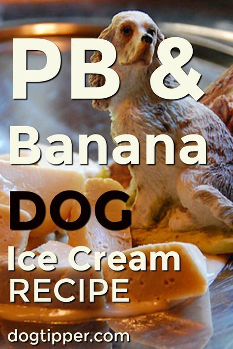 Peanut Butter & Banana Dog Ice Cream Recipe Doggie Ice Cream, Dog Popsicles, Dog Ice Cream Recipe, Puppy Ice Cream, Banana Popsicles, Peanut Butter For Dogs, Peanut Butter And Banana, Frozen Dog Treats, Recipe Banana