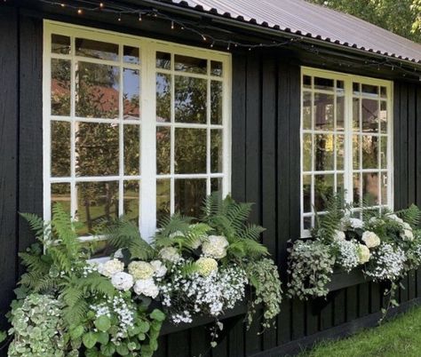 Window Box Flowers, Flowers And Greenery, Have Inspiration, Garden Containers, Home Landscaping, White Gardens, Window Boxes, Front Yard Landscaping Design, Garden Cottage