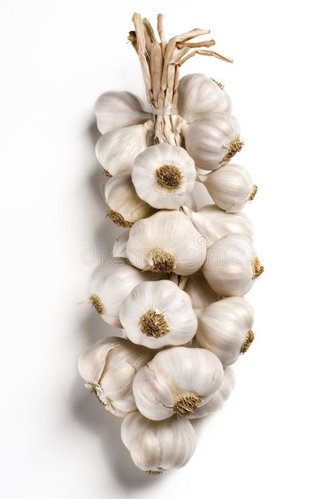 Garlic. Bunch of garlic bulbs on white , #Affiliate, #Bunch, #Garlic, #garlic, #white, #bulbs #ad Whey Protein Recipes Shakes, Garlic Health, Pasta With Alfredo Sauce, Garlic Health Benefits, Garlic Benefits, Mediterranean Diet Plan, Healing Remedies, Info Board, Diet Desserts