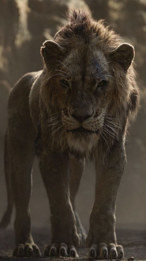 King Iphone Wallpaper, Scar Rey Leon, The Lion King 2019, Lion King 2019, Superman Actors, Watch The Lion King, Batman Cowl, Scar Lion King, Princess Anime