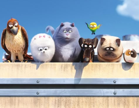 Here's a chance to get your paws on a copy of The Secret Life of Pets! The Secret Of Pets, Ice Age Movies, Pets Movie, Angry Animals, Kids Graphics, Secret Life Of Pets, Childhood Movies, Pets 3, Pet Life