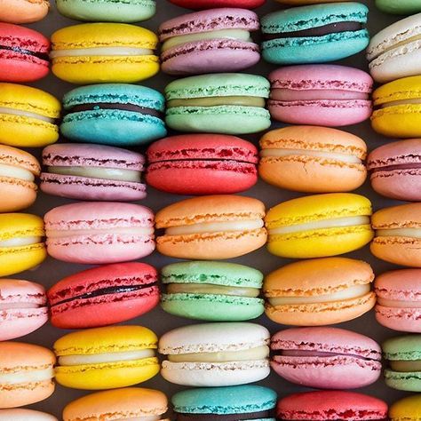 Inside Spokane (@insidespokane) • Instagram photos and videos Macaron Aesthetic, French Cookies, French Baking, Macaron Flavors, Sweet Magic, Love At First Bite, French Macaron, Baking Classes, French Macarons