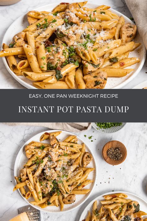 Instapot Chicken And Pasta, Instant Pot Chicken Pasta Recipes Easy, Healthy Instant Pot Pasta Recipes, Instant Pot Chicken Pasta Recipes, Instapot Pasta Recipes, Chicken Pasta Instant Pot, Instant Pot Dump And Go, Instant Pot Chicken Pasta, Instant Pot Pasta Recipes