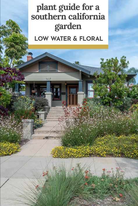 Low Water Front Yard, Southern California Garden, California Native Landscape, Drought Tolerant Landscape Front Yard, California Landscaping, Native Plant Landscape, California Native Garden, California Drought, California Plants