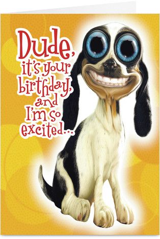 Birthday Big Eyed Funny Birthday Card. Designed by: Twisted Whiskers People With Blue Eyes, Dog Birthday Card, Smiling Dogs, Relatable Post Funny, It's Your Birthday, Cute Dogs And Puppies, Old Cartoons, Birthday Gifts For Boyfriend, Personalized Invitations