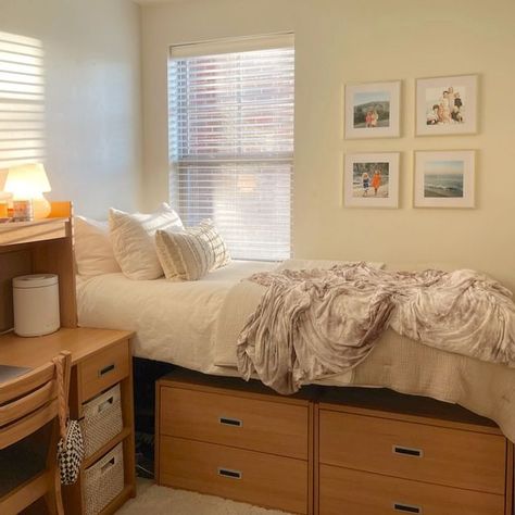 Bunk Bed Dorm Room Ideas, Mizzou Dorm, Budget Dorm Room, Cozy College Dorm, Dorm Room Decor Ideas, Dorm Room Layouts, Dorm Aesthetic, Cozy Dorm, College Dorm Room Inspiration