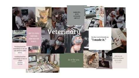 #animals #visionboard #cute #student #motivation #vetschool #veterinary Vet Wallpaper Laptop, Vet Tech Vision Board, Vet Student Aesthetic Wallpaper, Veterinary Aesthetic Wallpaper, Vet Aesthetic Wallpaper, Veterinarian Wallpaper, Veterinarian Aesthetic Wallpaper, Vet Med Aesthetic, Veterinarian Aesthetic