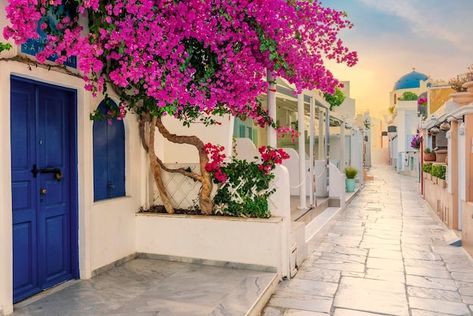 View of oia street in the mornong | Free Photo #Freepik #freephoto #santorini #greece #europe #europe-travel Desktop Background Nature, Dodecanese Islands, Paros Island, Paros Greece, Karpathos, Summer Escape, Long Holiday, Summer Destinations, Samos