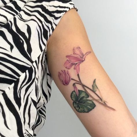 Katerina Kontodima on Instagram: "Hey hey !! Here's a Cute Cyclamen done today at @unclechronistattoo ! #cyclamen #botanical#tattoo #tattoos" Cyclamen Flower Tattoo, Cyclamen Tattoo, Tattoos Aesthetic, Arabic Tattoo Quotes, Botanical Tattoo, Arabic Tattoo, Flowers Tattoo, Tattoo Inspo, Flower Tattoos