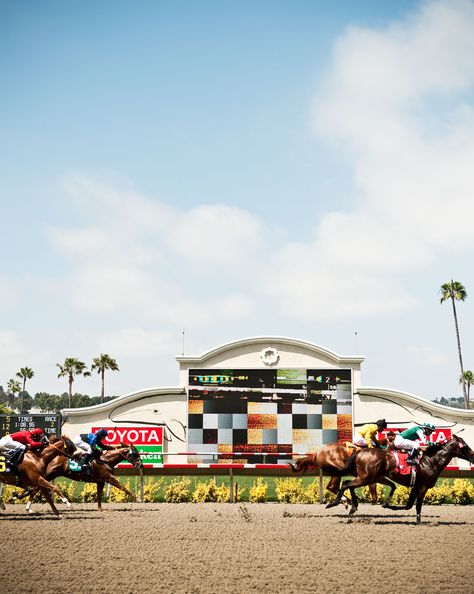 Del Mar Race Track, Faster Horses, Terrace Restaurant, Day At The Races, Four Tops, Solana Beach, Horse Race, A Pony, Big Hat