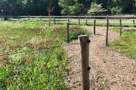 Paddock Trail, Horse Paddock, Paddock Paradise, Farm Layout, Horse Things, Dream Barn, Trailer Home, Horse Trailer, Stables