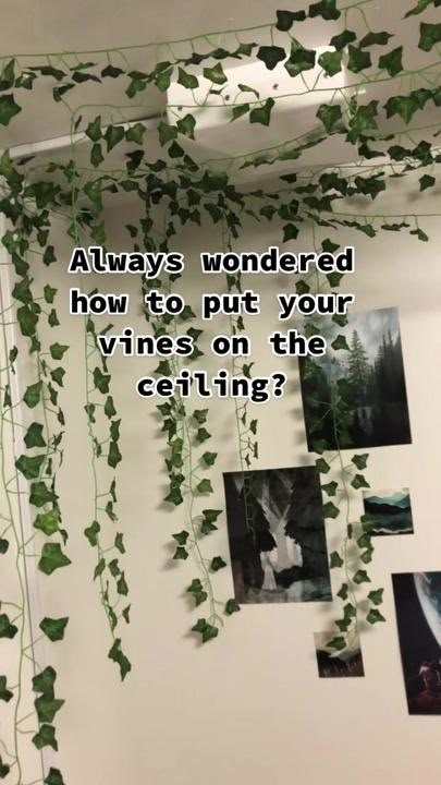 Places To Put Vines In Your Room, Room Vine Decor, Things To Do With Fake Vines, How To Put Up Fake Vines In Your Room, Vines In A Room, Hanging Fake Vines Bedroom, How To Put Vines In Room, How To Hang Fake Ivy On Wall, How To Hang Leaves On Wall